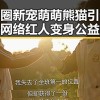 娱乐圈新宠萌萌熊猫引发热议，网络红人变身公益明星