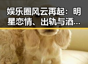 娱乐圈风云再起：明星恋情、出轨与酒驾事件引发关注