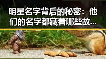 明星名字背后的秘密：他们的名字都藏着哪些故事？✨
