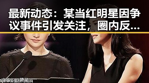 最新动态：某当红明星因争议事件引发关注，圈内反应平静