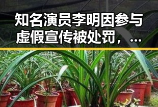 知名演员李明因参与虚假宣传被处罚，行业监管趋严