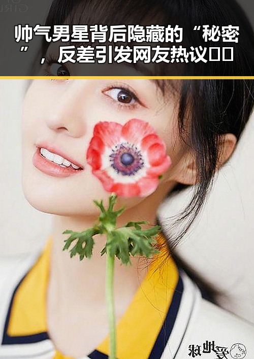 黑料爆料平台：最新娱乐八卦与独家内幕